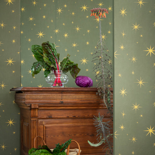 Vintage wooden cabinet with plants against a green wall with star patterns