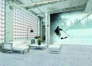 Ski the Slopes